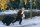 Liebe braucht keine Ferien / DVD - Top Zustand