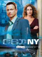 CSI: NY - Season 2/Box-Set 2  [3 DVDs]  Top Zustand