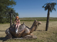 Die Chaoscamper / DVD *Top Zustand