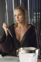 Basic Instinct 2 / DVD *Top Zustand