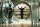 Inside Man / DVD