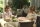 Das Schwiegermonster / DVD - Top Zustand