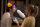 American Pie 4 - Die nächste Generation/ DVD *Top Zustand