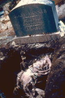 Düstere Legenden 3 / DVD * Guter Zustand