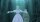 Steamboy -- Directors Cut / DVD - Top Zustand