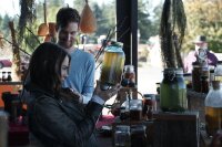 Cabin Fever / DVD - Guter Zustand