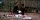 Cabin Fever / DVD- Top Zustand