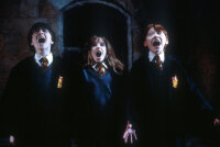 Harry Potter und der Stein der Weisen / DVD - Guter Zustand