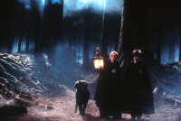 Harry Potter und der Stein der Weisen / DVD - Guter Zustand