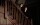Sleepy Hollow / DVD - Top Zustand