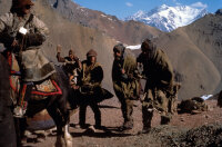 Sieben Jahre in Tibet  / DVD - Top Zustand
