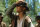 Sieben Jahre in Tibet  / DVD - Top Zustand