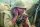 Windtalkers / DVD * Guter Zustand