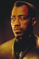 Blade 2 / DVD - Guter Zustand