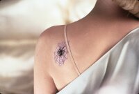 Die Addams Family in verrückter Tradition / DVD * Guter Zustand