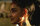 Little Buddha / DVD