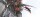 Spider-Man: Far from Home / Blu-Ray * Top Zustand