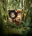 Early Man - Steinzeit bereit / DVD - Top Zustand