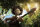 Early Man - Steinzeit bereit / DVD - Top Zustand