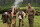 Jumanji - Willkommen im Dschungel / Blu-Ray * Top Zustand