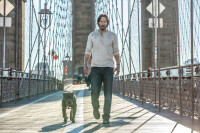 John Wick: Kapitel 2 / Blu-Ray * Top Zustand