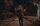 Split / DVD - Top Zustand