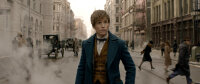 Phantastische Tierwesen und wo sie zu finden sind von Joanne K.Rowling - DVD Top