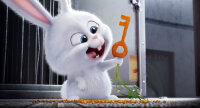Pets / DVD - Top Zustand