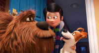 Pets / DVD - Top Zustand