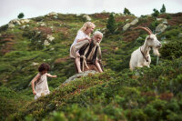Heidi / DVD - Guter Zustand