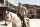 Bone Tomahawk / Blu-ray Film