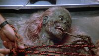Return Of The Living Dead / Limited Mediabook Cover A / Blu-ray + DVD