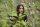 The 100 - Die komplette 1. Staffel / DVD