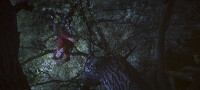 Poltergeist - Extended Cut / DVD