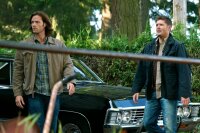 Supernatural - Staffel 8  ( 6 DVDs ) - Top Zustand