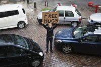 Buddy / Blu-Ray * Guter Zustand