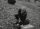 Night of the Living Dead - Mediabook (Limited Edition) DVD - Top Zustand