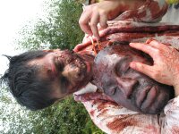 Bong of the Dead - Uncut / DVD - Top Zustand