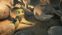 Sammys Abenteuer - Die Suche nach der geheimen Passage / DVD
