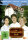 Die Schwarzwaldklinik - Staffel 4  ( 4 DVDs )