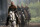 Robin Hood (Director`s Cut) / Blu-Ray * Guter Zustand