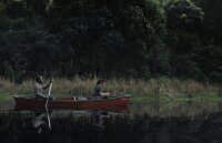 GAIA - Grüne Hölle / Blu-Ray * Top Zustand