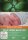 Bruce Lipton - Wie wir werden, was wir sind / DVD - Guter Zustand
