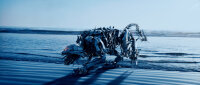 Transformers - Die Rache / DVD