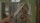 Mirrors / DVD *Top Zustand