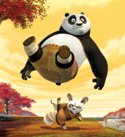 Kung Fu Panda / DVD - Top Zustand