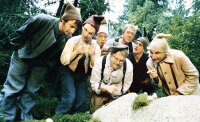 7 Zwerge - Der Wald ist nicht genug / DVD - Guter Zustand