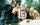 7 Zwerge - Der Wald ist nicht genug / DVD - Guter Zustand