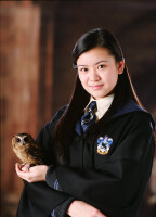 Harry Potter und der Feuerkelch / DVD