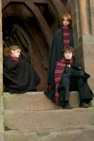 Harry Potter und der Feuerkelch / DVD